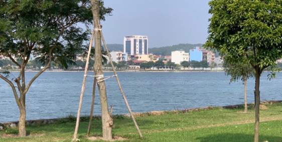 Đất Đấu Giá Hot Nhất Khu Vực Thành Phố Chí Linh! Giá Rẻ, Ngay Gần Quảng Trường!