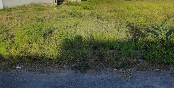 Bán đất làm kho,xưởng mặt tiền nhựa ven Phan Thiết