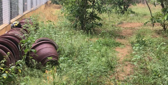 141m2 đất nền Cẩm Hà, Hội An giá đầu tư quá tốt