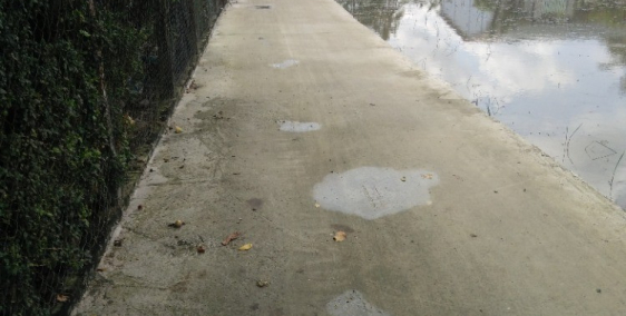 Tôi chính chủ cần bán đất thổ P.5, TP. Tân An, 790tr/180m2