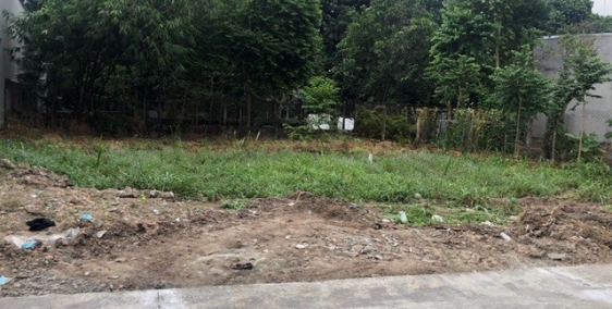 Bán đất tại Đường Huỳnh Văn Lũy, Thủ Dầu Một, Bình Dương diện tích 95m2