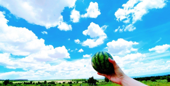 Đất tô phở 60.000/m2 để 2 năm bán bằng 10 tô