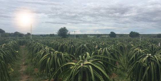 Cần bán gấp lô đất 11970m2 giá 778tr