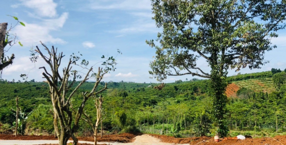 Đất Nền Lộc An, Đã Có Sổ, Giá Siêu Rẻ