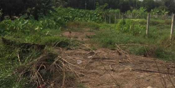 Cần bán lô đất giá đầu tư tại Củ Chi