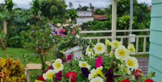 Bán đất sườn đồi có sổ liền kề tp Đà Lạt chỉ 900 ngàn/m