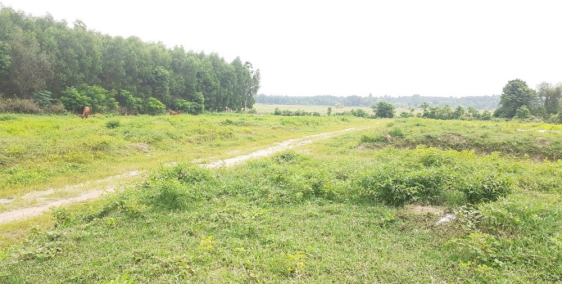 đất ở châu pha,TX Phú Mỹ , giá 900tr diện tích 596m2