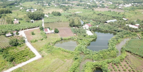 Đất sào Vĩnh Tân dt:2037m2(100m thổ cư) giá:709tr