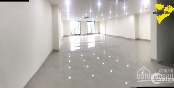 cần cho thuê mặt tiền trương công định (vip), trung tâm tp vũng tàu