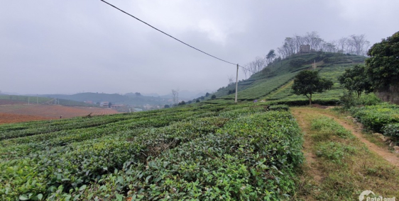 Đất hồ sinh thái Bắc Sơn, Sóc Sơn, đường ô tô, giá hấp dẫn.