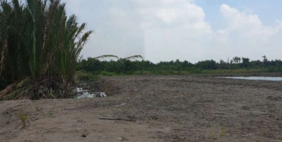 Hot! Hot! 4831m² đất Bình Khánh, Cần Giờ chỉ 2.6 tỷ