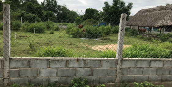 Giảm 1 tỷ! Chỉ 1 ngày duy nhất 389m² đất Củ Chi còn 3.6 tỷ