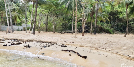 Đầu tư cực hời! 9800m² đất Phú Quốc giá chỉ 60 tỷ