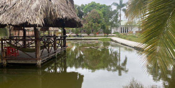 Nhượng lại lô đất 'siêu to khổng lồ' 4569m² Củ Chi chỉ 7 tỷ