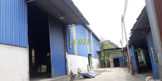 CHO THUÊ XƯỞNG TẠI TÂN VĨNH HIỆP, TÂN UYÊN, BÌNH DƯƠNG.: 1800m2