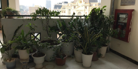 Bán rẻ căn hộ thấp tầng 130 Đốc Ngữ - Ốc đảo Yên tĩnh giữa Trung tâm Hà Nội