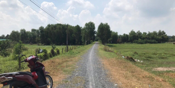 Kẹt tiền bán gấp nhà biệt thự 1000m2