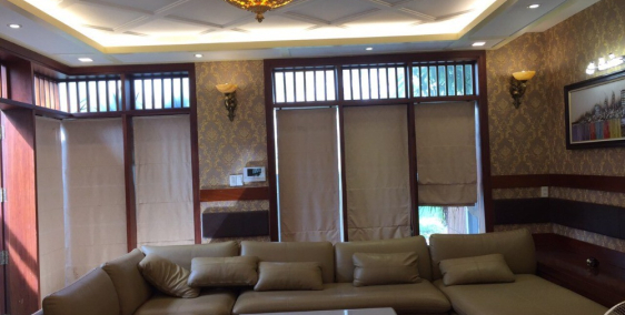 Cho thuê- bán  Biệt thư Vip quận 7 14X18m giá 55tr