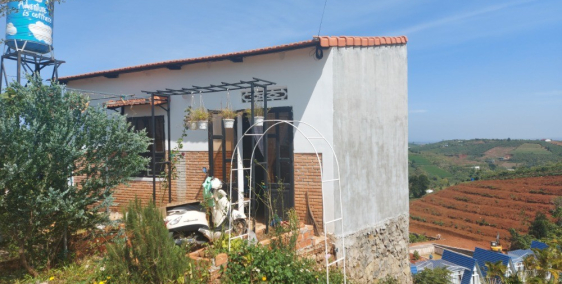 Nhà Lý Thái Tổ, Bảo Lộc sinh lời cao.