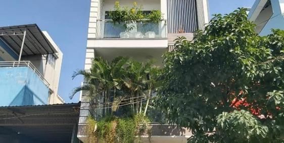 Bán Nhà Mặt Tiền KDC Phú Mỹ, Phạm Hữu Lầu, Quận 7, Đường 12m