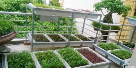 Bán nhà Quận 3 tuyệt đỉnh kungfu – nhà đẹp – Đầu tư