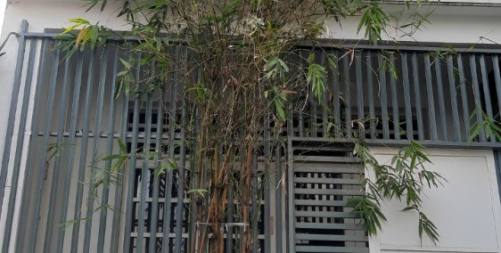 Cần tiền bán nhà HXH Phú Thọ Hòa, Tân Phú, 4,2x10m, 4,150 tỷ