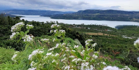 Đất Nền Nghỉ Dương Chuẩn 5 Sao Có Đầy Đủ Tiện Ích