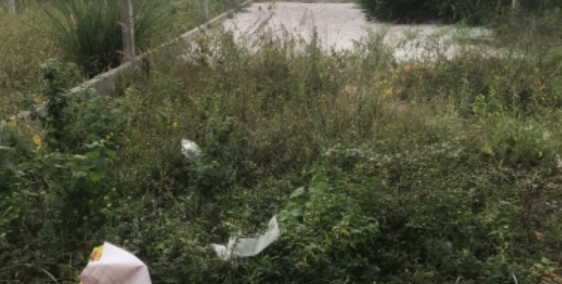 Đất mặt tiền đường Lý Thái Tổ Cam Lâm Khánh Hoà