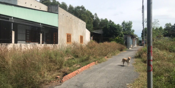 Tôi cần tiền bán nhanh lô đất 3 Mặt Tiền tại Ấp 2, xã Tân Hiệp, Long Thành