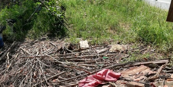 Đất PHú Hội, Nhơn Trạch, Đồng Nai