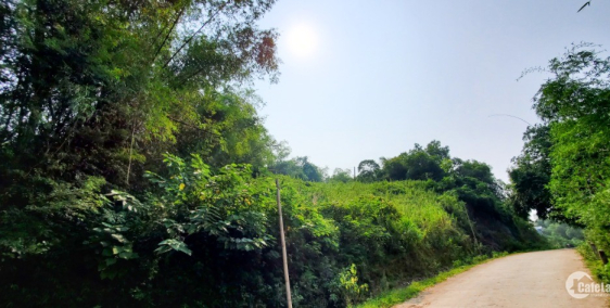 [Giá cực sốc ] chỉ 1,2 triệu/m² đất nền giá rẻ tại Trán Voi, Quốc Oai – cạnh dự