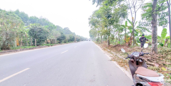 Cơ hội hiếm hoi - Đất nằm ngay mặt đại lộ Thăng Long