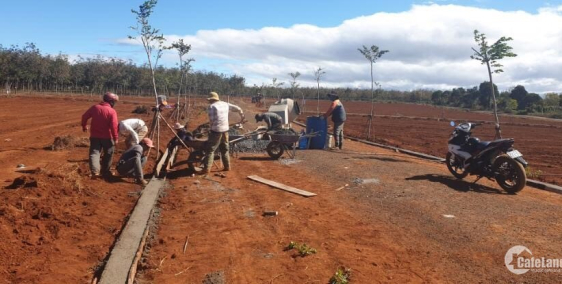 Chỉ 350tr sở hữu ngay đất nền Chư Sê (Hàng F1 sổ đỏ full thổ cư)