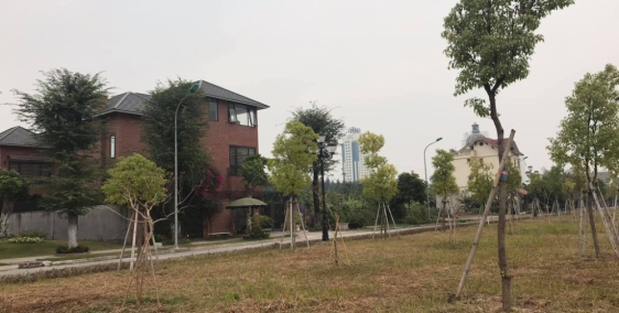 Bán đất biệt thự Plaza, phường Tứ Minh, 150m2, mt 7.5m, giá tốt, vị trí đẹp.