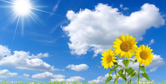 Bán nhanh mảnh đất nở hậu,view thung lũng ,đối diện trường mầm non