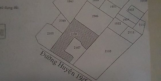 Bán Đất Mặt Tiền Đường 19/5 Cần Đước-Long An