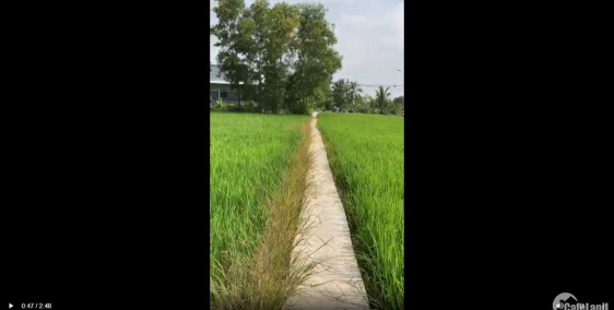 Bán 1000m2 đất xã Tân Lân huyện Cần Đước