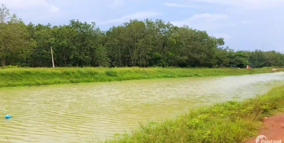Bán đất View Sông gần ngay QL 22b  Tinh Tây ninh