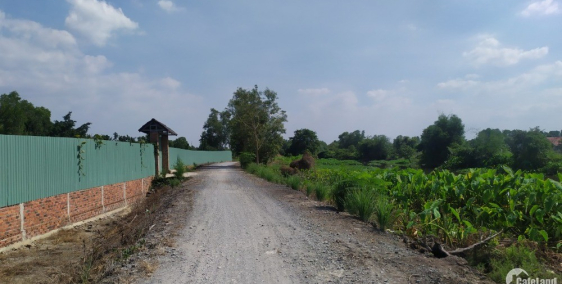 Đất vườn 500m2 giá 1,8 tỷ MT Rạch Đá Hàng Bình Mỹ, Củ Chi