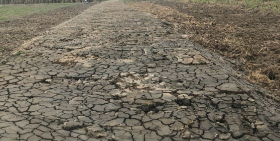 Chính chủ bán đất trồng cây lâu năm, giá tốt xã Phước Khánh, Đồng Nai