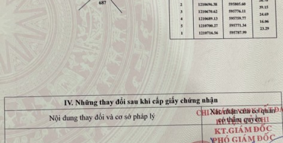 Kẹt nợ bán lỗ 1008m² đất Củ Chi giá chỉ 3.5 tỷ