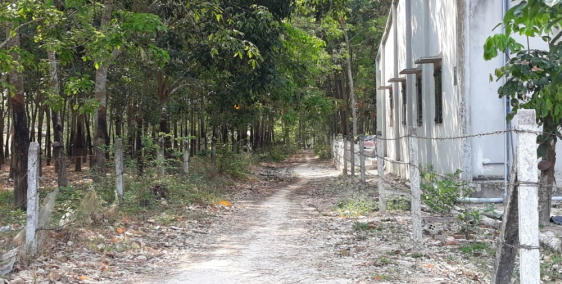 Đất Củ Chi giá rẻ như cho 3852m² chỉ 2.7 tỷ