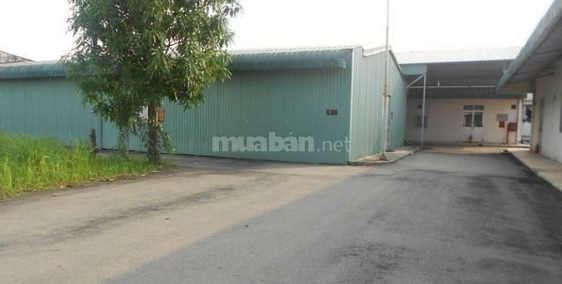 Chính Chủ Cho Thuê Kho Giá Rẻ 3 triệu, 50 m2