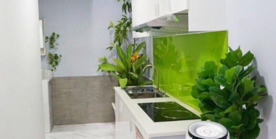 Cần bán GẤP nhà Thống Nhất, P.11, Gò Vấp, 4x10m, 1 trệt, 1 lầu, 3.28 tỷ