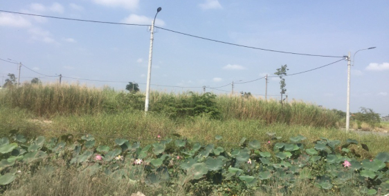 Bán 205m2 đất, chính chủ gần TT Cần Đước giá 1,2 tỷ.