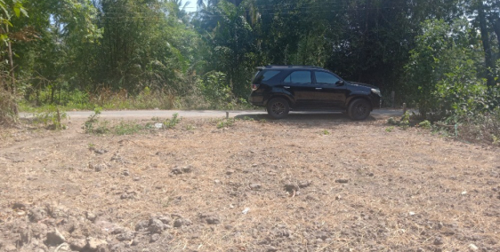 Bán đất mặt tiền đường nhựa Châu Thành