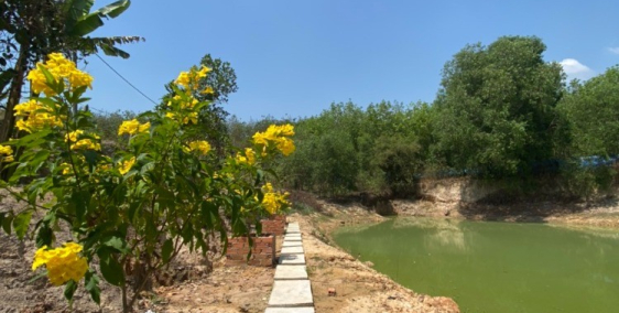 Đất đẹp ven Sài Gòn làm nhà vườn nghỉ dưỡng, hoặc đầu tư sinh lời