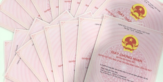 Sở hữu đất nền Vĩnh yên center city , đường 19,5m kinh doanh sầm uất.