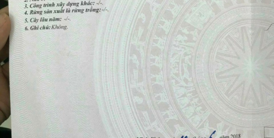 Nhập khẩu phường liên bảo giá rẻ. Không có lô thứ 2