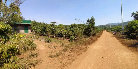 Đất vườn Đinh Trang Hòa 1500m2 giá 425tr sổ riêng